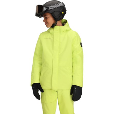 On Body Image of color Chameleon