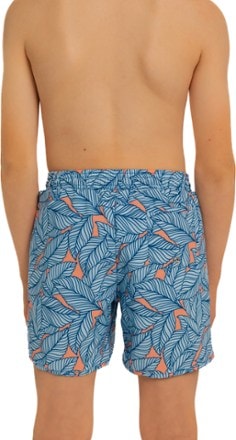 Lake Label Board Short Swimsuit Bottoms - Kids' 2