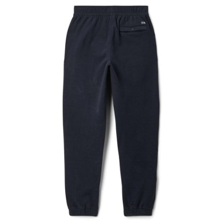 Mountain Hardwear Microchill Joggers - Women's 4