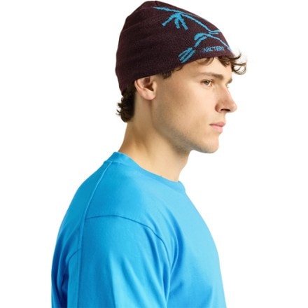 Arc'teryx Bird Head Toque Beanie 3