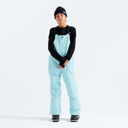 The North Face Freedom Insulated Bib Snow Pants 2