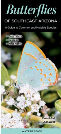 Quick Reference Publishing Butterflies of Southeast Arizona 0