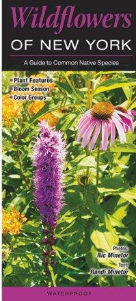 Quick Reference Publishing Wildflowers of New York 0