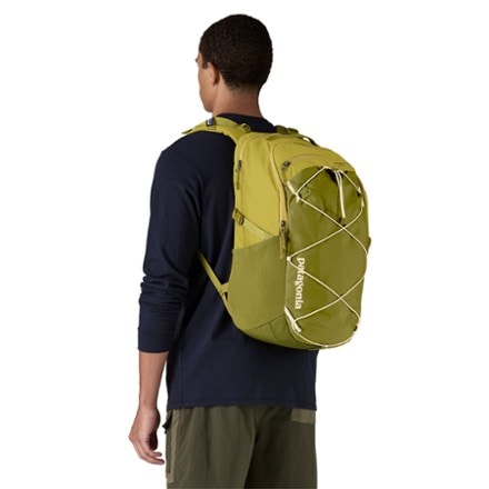 Patagonia Refugio 30L Pack 1