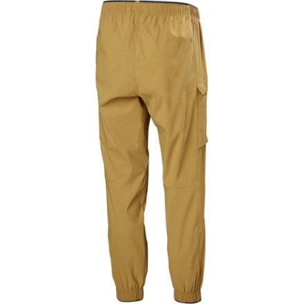 Helly Hansen Vista Hike Pants - Men's 3