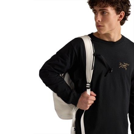 Arc'teryx Mantis 16 Pack 9
