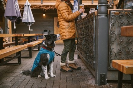 Ruffwear Stumptown Insulated Dog Jacket 2