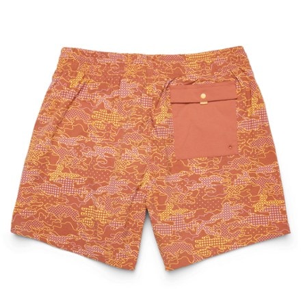 Cotopaxi Brinco Shorts - Men's 4