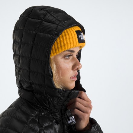 The North Face ThermoBall Hooded Insulated Parka - Women's 4