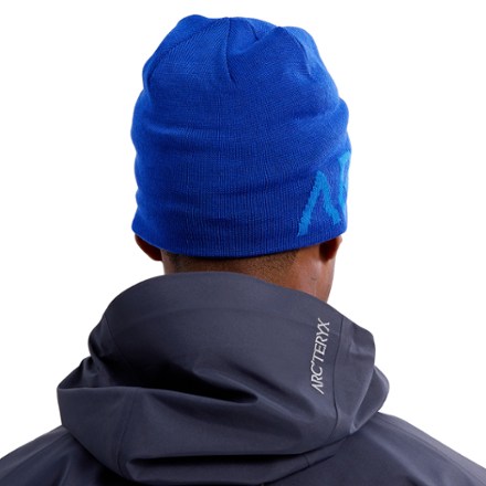 Arc'teryx Word Head Toque 2