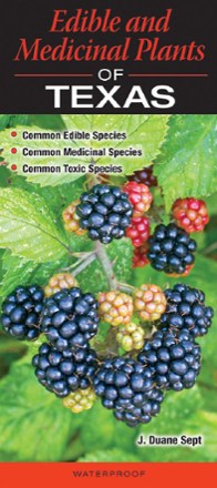 Quick Reference Publishing Edible and Medicinal Plants of Texas 0