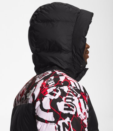 The North Face Printed HMLYN Down Parka - Men's 2