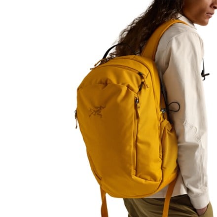 Arc'teryx Mantis 26 Pack 7