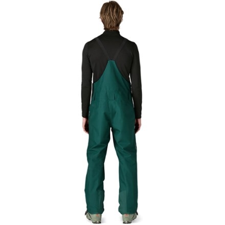 Patagonia Powder Town Bib Pants - Men's 2