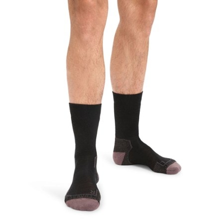Icebreaker Hike+ Medium Crew Socks - Men's 0