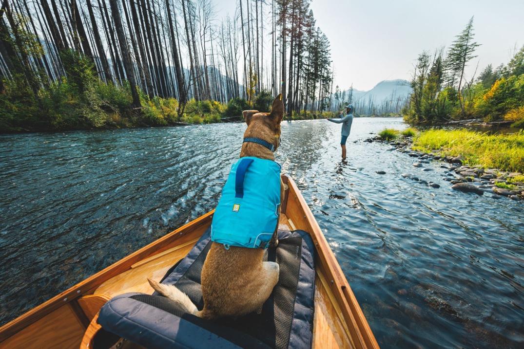 Location Image for Confluence Life Jacket