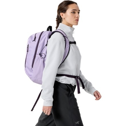 Arc'teryx Mantis 26 Pack 5