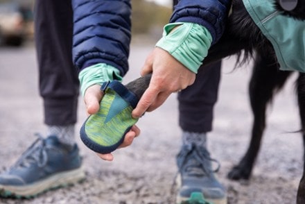 Rei adventure dog boots cheap
