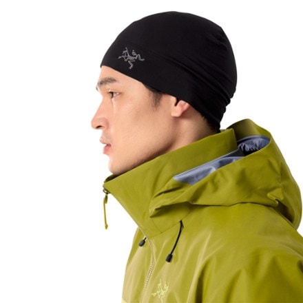 Arc'teryx Beta AR Jacket - Men's 8