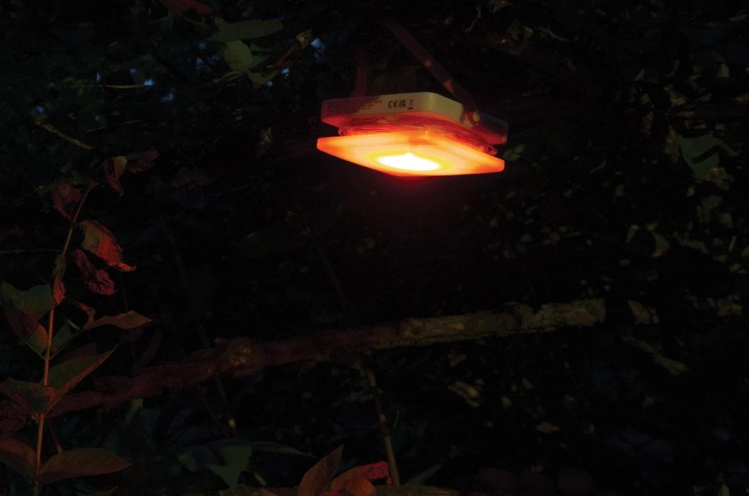 Location Image for Solar String Area Light with Phone Charger