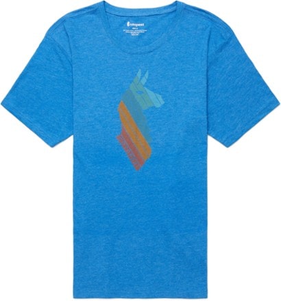 Cotopaxi Llama Stripes Organic T-Shirt - Men's 0