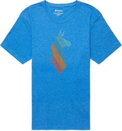 Cotopaxi Llama Stripes Organic T-Shirt - Mens