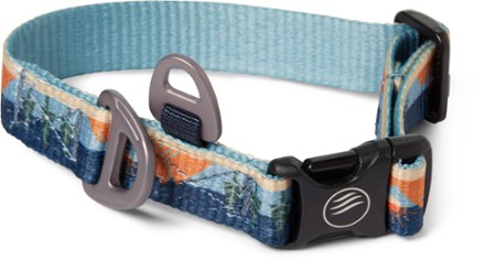 clearance dog collars