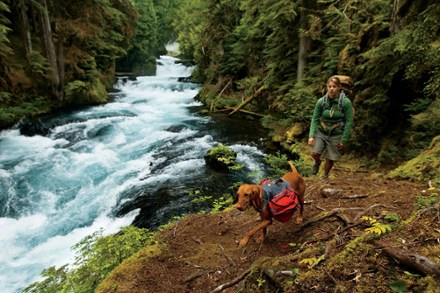 In-Use (Red Currant)