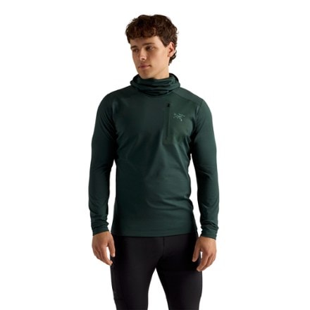 Arc'teryx Rho LT Base Layer Hoody - Men's 1