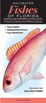 Quick Reference Publishing Saltwater Fishes of Florida: Central and Northern Atlantic Coast 0