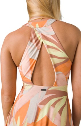 prAna Saxon Dress 4