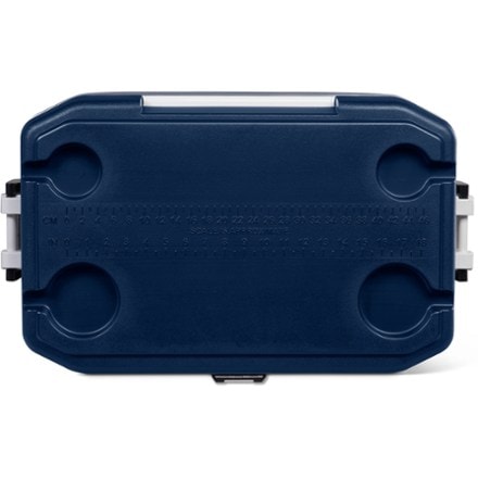 Igloo MaxCold Latitude 54-Quart Cooler 4