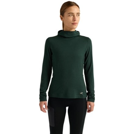 Arc'teryx Satoro Merino Wool Base Layer Hoody - Women's 1