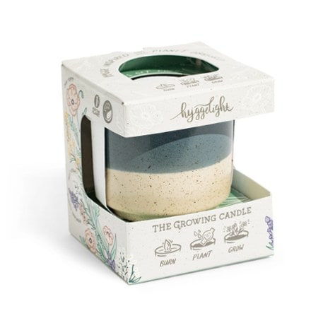 Hyggelight- The Growing Candle Willow Candle - Juniper/Citronella Scent 1