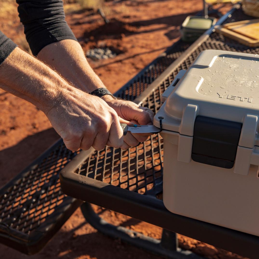 Location Image for Assert Folding Knife