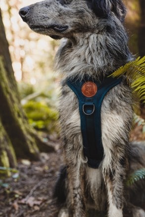 Wilderdog Dog Harness 3