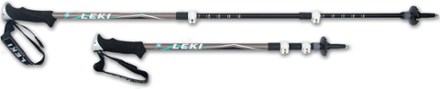 leki legacy dss
