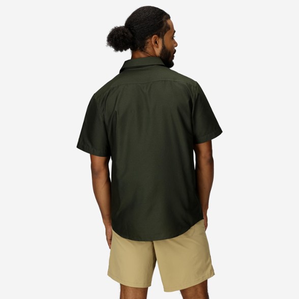 On Body Image of color Rosin Green