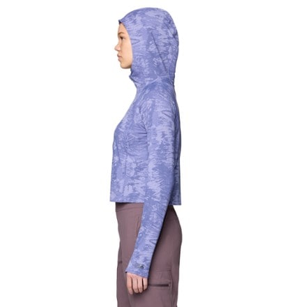 Mountain Hardwear Crater Lake Crop Zip Top - Women's 2