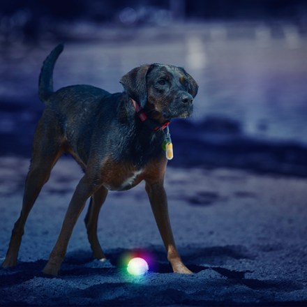 Location Image for GlowStreak Disc-O LED Ball