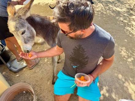 Slow Loris Tree BnB T-Shirt 4