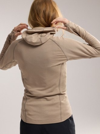 Arc'teryx Delta Half-Zip Hoodie - Women's 2