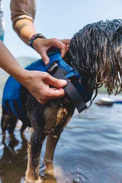 Location Image for Float Coat Dog Life Jacket