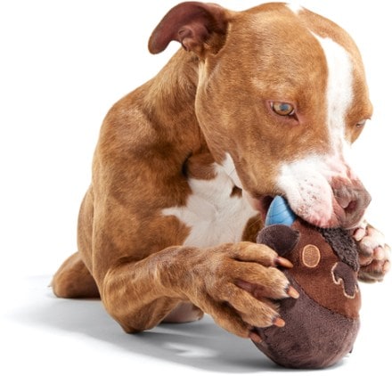 13 Coolest Outdoor Dog Toys Of All Time - BARK Post