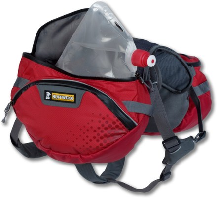 Bladder (Red Currant)