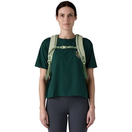 Patagonia Refugio 26L Pack 2