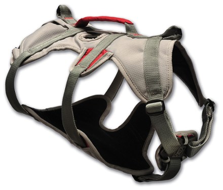 Right Side (Graphite Gray)