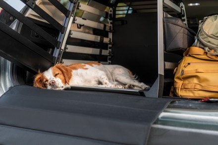 Thule Dog Crate Bumper Protector - Standard 3