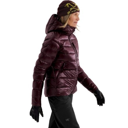 Arc'teryx Cerium SV Down Hoody - Women's 5