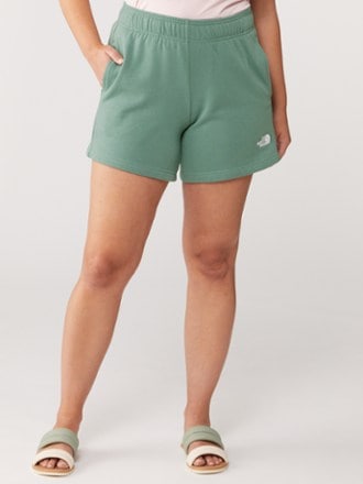 The North Face Evolution Shorts - Women's 1